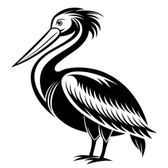 Fototapeta premium Black and white silhouette illustration of a pelican standing