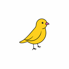 yellow bird on white background