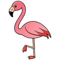 vector illustration of flamingo