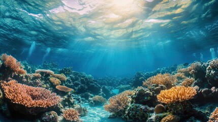 Fototapeta premium Sunlit Coral Reef Underwater Paradise: Vibrant Marine Ecosystem