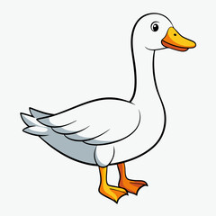duck on white background