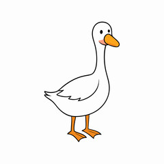 duck on a white background