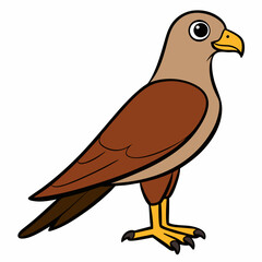vector illustration of a bird