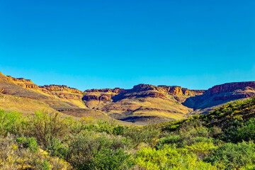 Landscape of rocky green Cederberg mountains