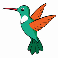 hummingbird in flight