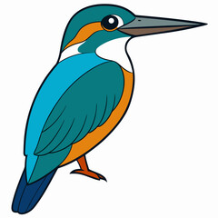 vector illustration of a bird