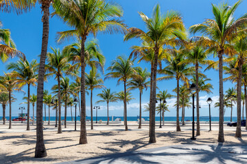 Palm trees in beach park and tropical sea, Las Olas Oceanside Beach, Fort Lauderdale, Florida