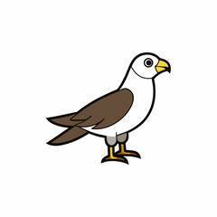 Obraz premium bird on a white background
