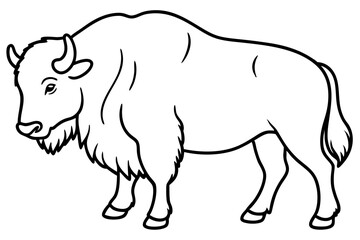 Modern Musk Ox Vector