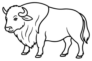 Modern Musk Ox Vector