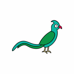 bird of paradise