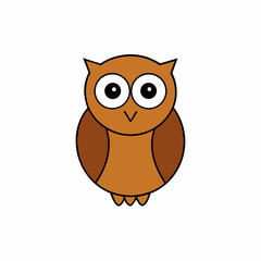 owl on white background
