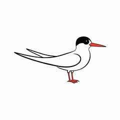 vector illustration of a bird