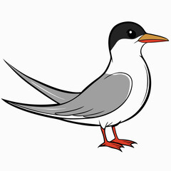 bird on a white background