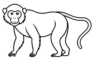 Modern Proboscis Monkey Sketch