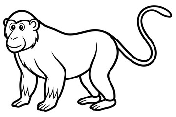 Modern Proboscis Monkey Sketch