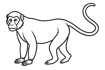 Modern Proboscis Monkey Sketch