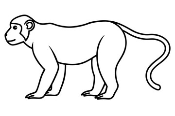 Modern Proboscis Monkey Sketch