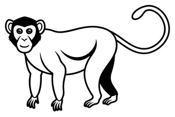 Modern Proboscis Monkey Sketch