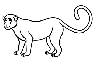 Modern Proboscis Monkey Sketch