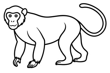 Modern Proboscis Monkey Sketch