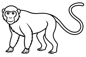 Modern Proboscis Monkey Sketch