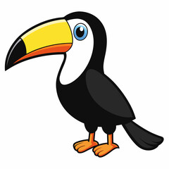 toucan isolated on white background