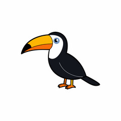 toucan isolated on white background