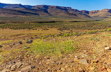 View across Biedouw valley to mountains