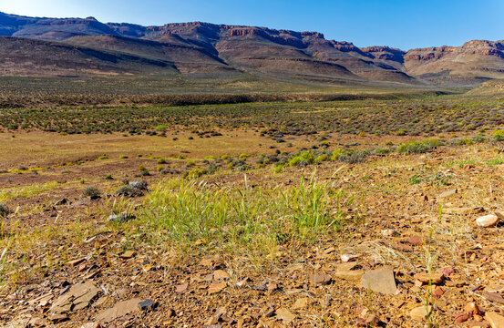 View across Biedouw valley to mountains