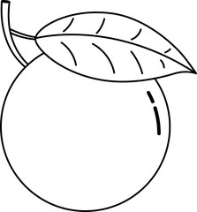 Line-drawn orange vector illustration. Line-drawn orange transparent PNG. Orange clip art. Orange symbol. Orange doodle. Fruit stock images.