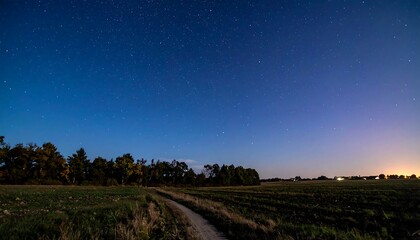 Serene Night Sky Over Tranquil Countryside Path Embracing Stars and Natural Beauty at Dusk
