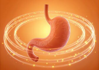 Human Stomach Anatomy with Glowing Rings, Organ Structure, Digestive System, 3D Render