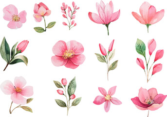 seamless pattern with pink flowers