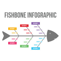Colorful Fishbone infographic and diagram design with text space. Fishbone Infographic business steps and workflow diagram vector for presentation. Infographic design with categories and causes.