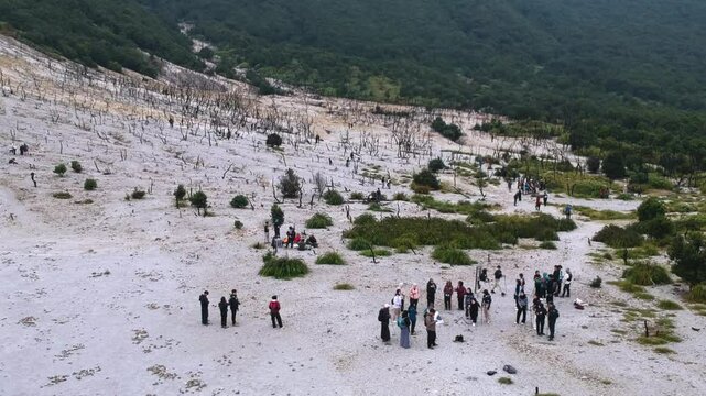beautiful view of the dead forest area on Mount Papandayan, Garut, West Java, Indonesia