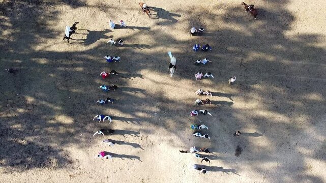 
Group of Argentine folklore dancers and gaucho riders with flags at the Argentine national festival