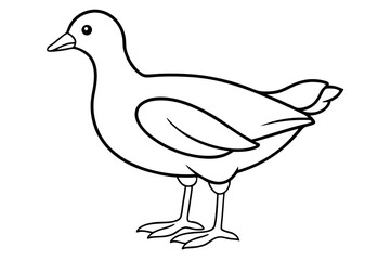 Moorhen Outline Illustration