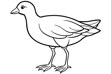 Moorhen Outline Illustration
