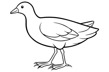 Moorhen Outline Illustration
