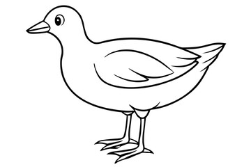 Moorhen Outline Illustration