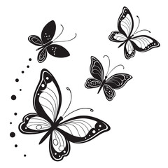 Obraz premium Elegant Black and White Butterfly Illustration Design