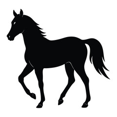 Silhouette of a Walking Horse on a White Background