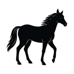 Obraz premium Silhouette of a Walking Horse on a White Background