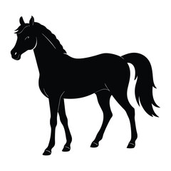 Silhouette of a Walking Horse on a White Background