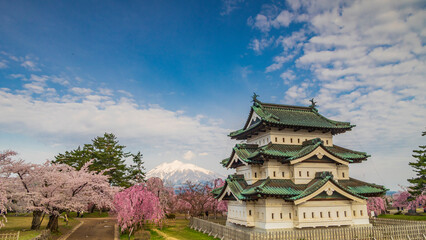 弘前城　天守閣と岩木山と満開の桜　絶景