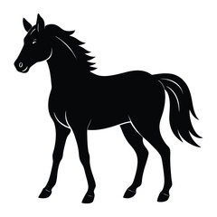 Silhouette of a Walking Horse on a White Background
