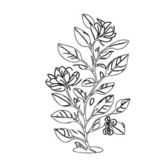Elegant floral illustration showcasing botanical harmony in monochrome simplicity