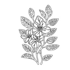 Delicate floral arrangement illustration with intricate line work on a white background