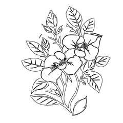 Elegant Floral Illustration: Delicate Blossoms and Foliage in a Black and White Sketch
